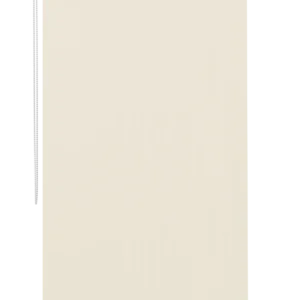B27 BSC